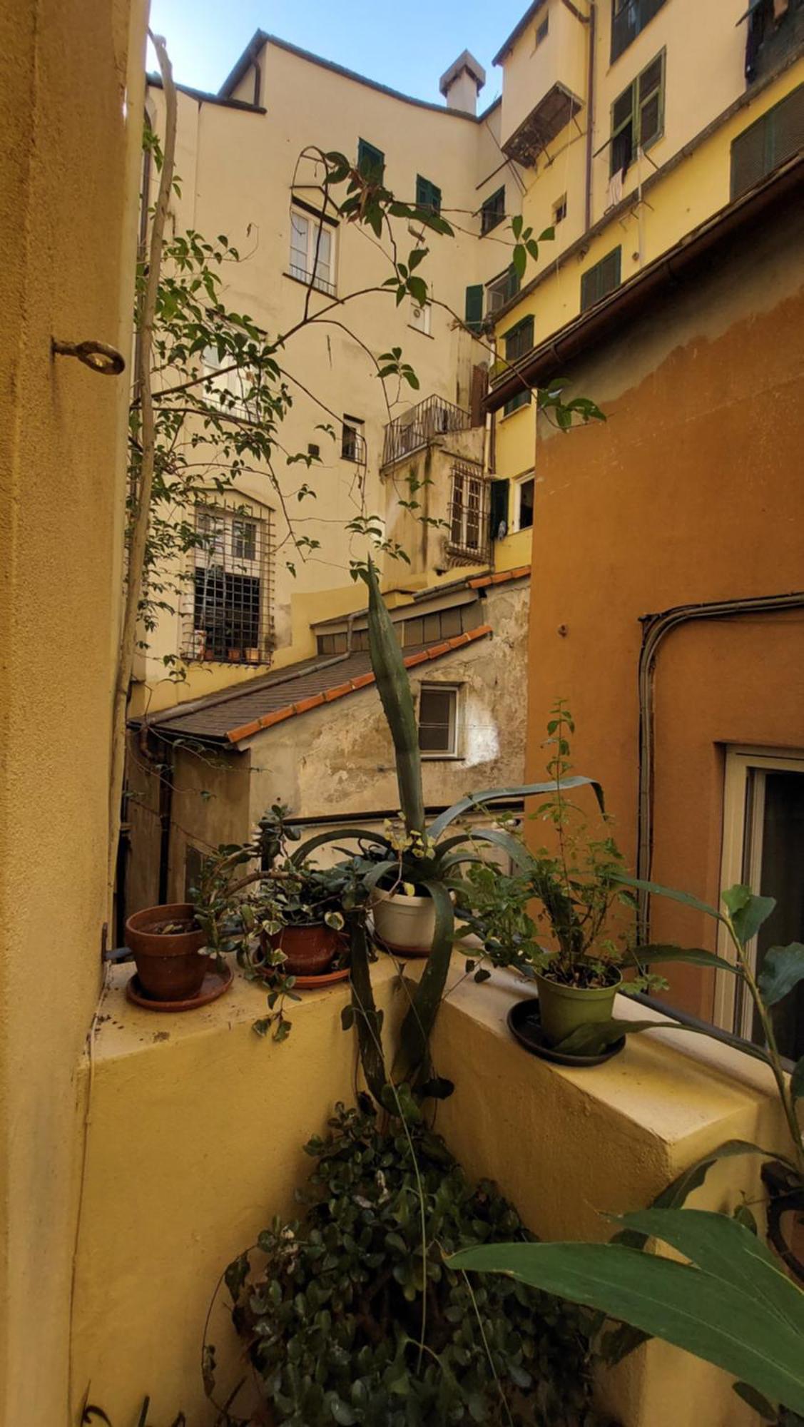 L'Angolo Verde In San Luca Janov Exteriér fotografie